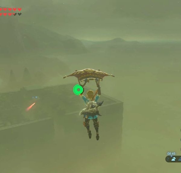 Labyrinthes Zelda Breath of the Wild : Akkara, désert Gerudo, Hébra… Comment les terminer ?