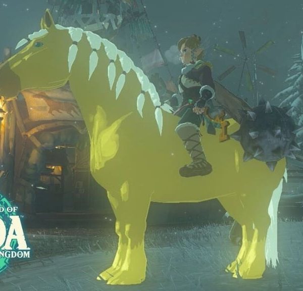 Chevaux Zelda Tears of the Kingdom : quelles sont les meilleures montures ?