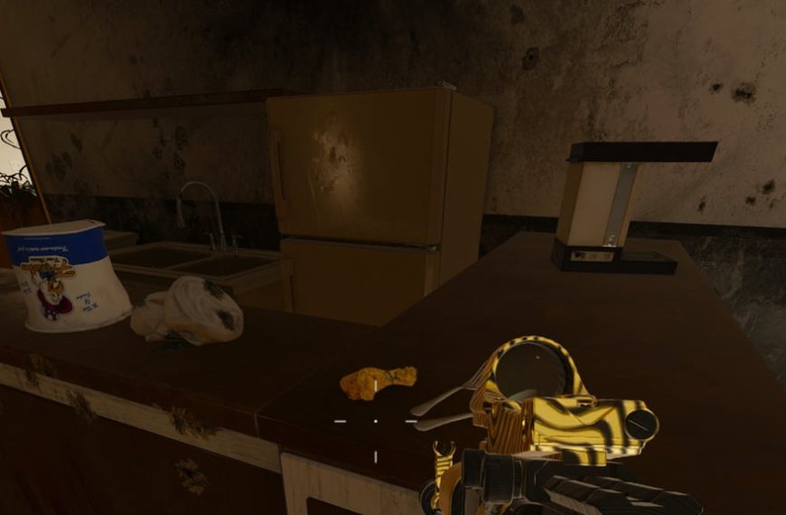 Chicken wings Reckoning Black Ops 6 : comment réaliser cet easter egg ?