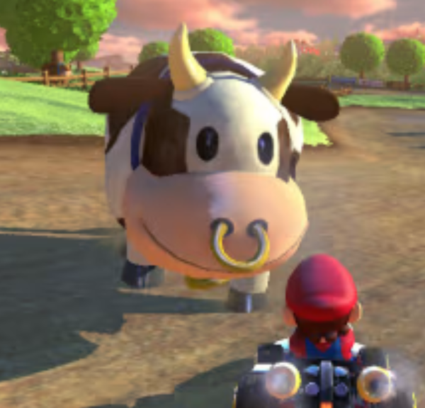 Mario Kart World : cette association de défense des animaux attaque le constructeur de la Nintendo Switch 2