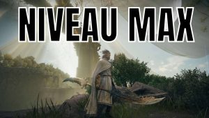 Niveau max Elden Ring : quel est le level maximum et comment l'atteindre efficacement ?