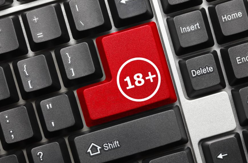 L’IA Grok peut générer des images et vidéos pour adultes, évidemment ça dégénère déjà