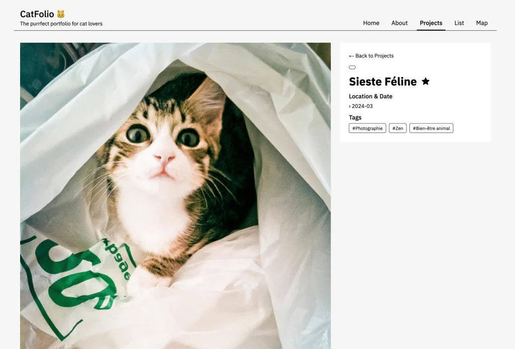 Microfolio – Le portfolio statique qui regarde WordPress de haut