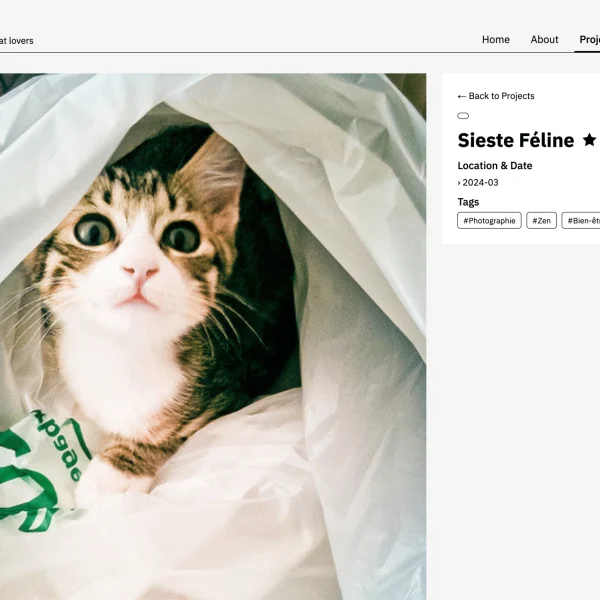 Microfolio – Le portfolio statique qui regarde WordPress de haut