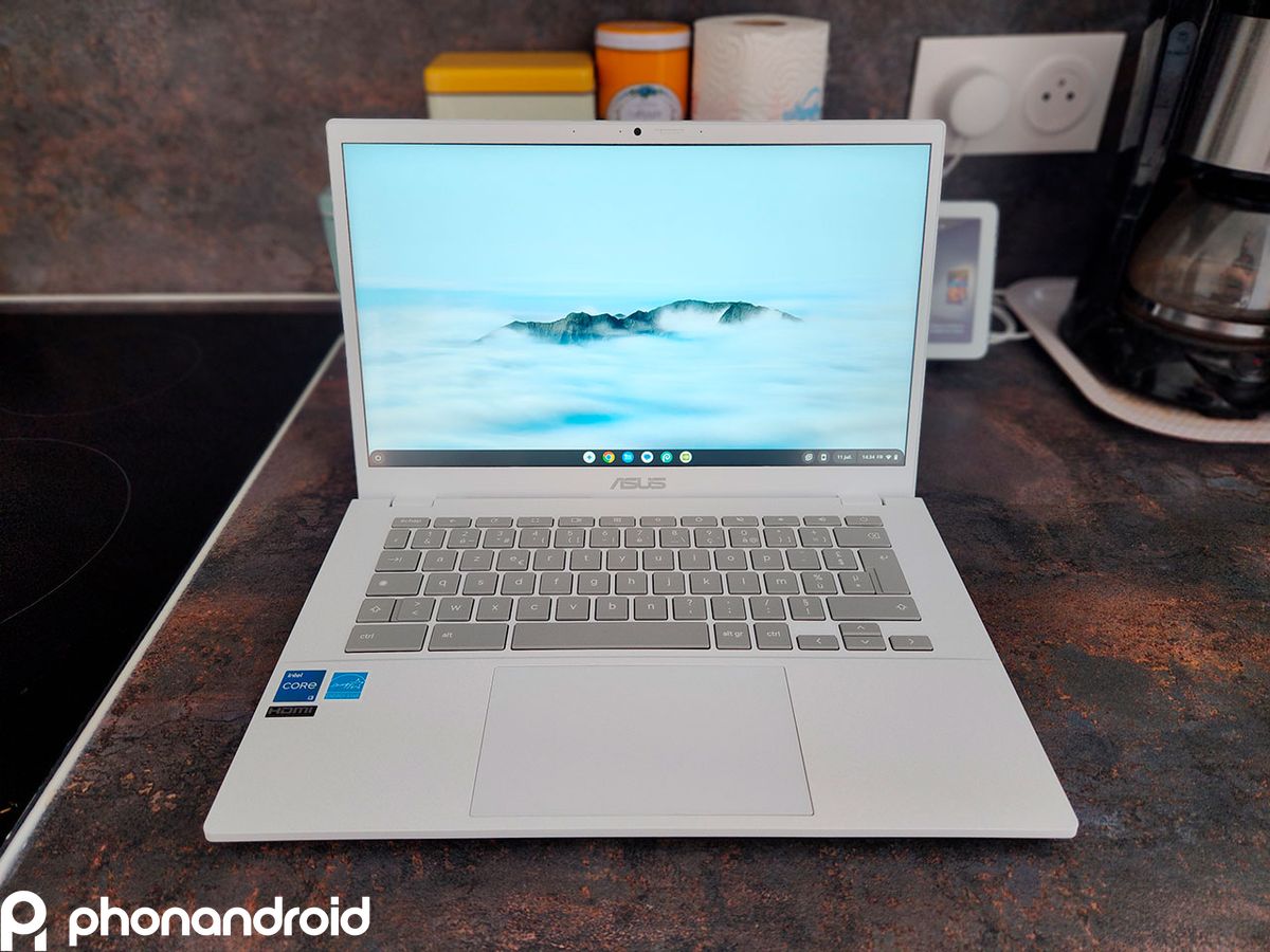 Vous utilisez Steam sur Chromebook ? Nous avons une mauvaise nouvelle pour vous