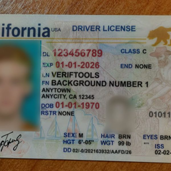 Faux permis et passeports : la police ferme VerifTools, un site pirate spécialisé dans les papiers contrefaits