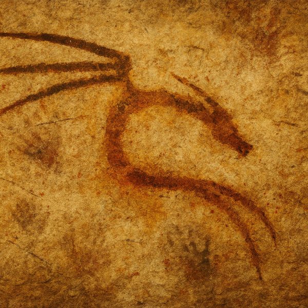 Kali Linux – L'outil underground devenu une référence mondiale