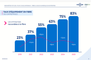 Peu de TPE-PME développent des usages autour de la fibre