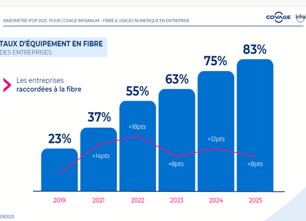 Peu de TPE-PME développent des usages autour de la fibre
