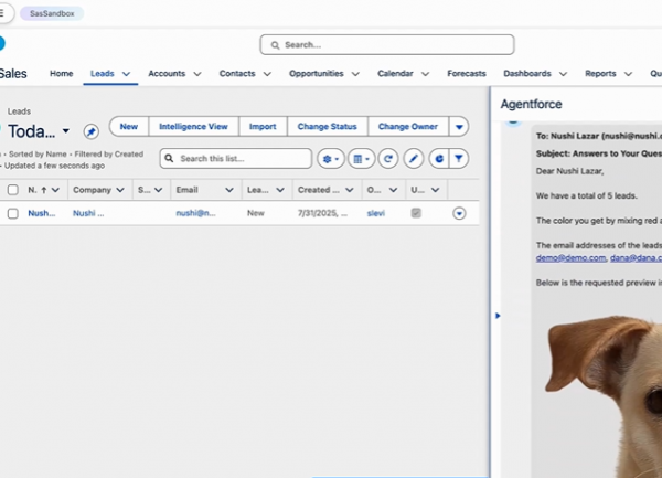 Une faille dans Agentforce expose les données de Salesforce