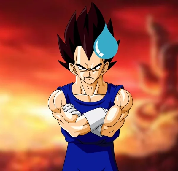 Vegeta ne s'excuse que deux fois dans tout Dragon Ball et seulement auprès d'un seul personnage : ce n'est ni Goku, ni Bulma !