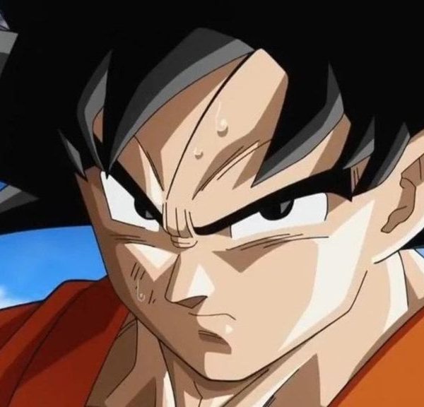 Seuls les vrais fans de Dragon Ball connaissent cette tenue de Goku ! Elle est pourtant iconique