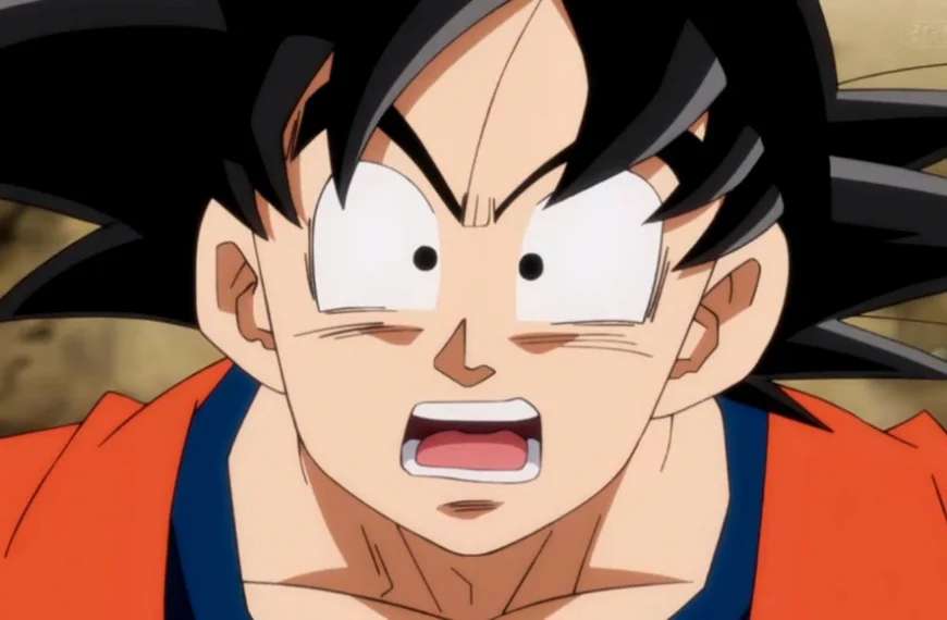 Coup dur pour les fans de Dragon Ball ! Une nouvelle loi américaine prive certains fans de son format papier