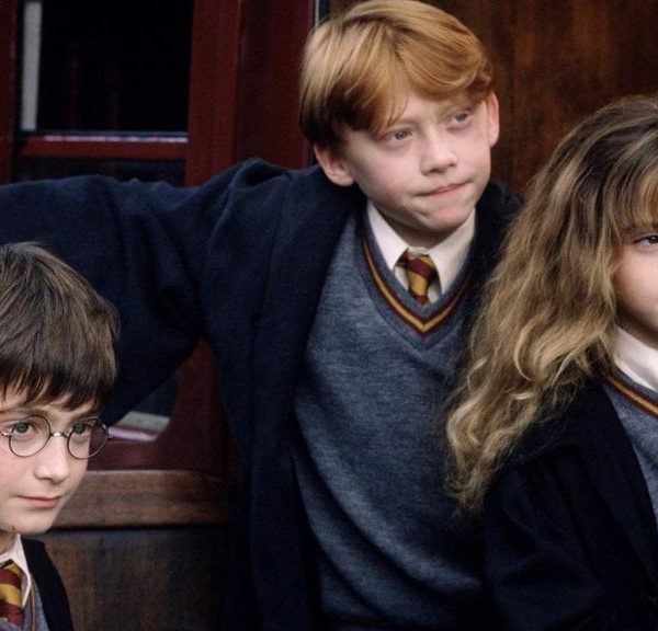 Ce personnage totalement absent des films Harry Potter sera enfin présent dans la série HBO Max !