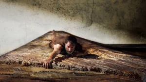 Jean Dujardin minuscule pour son prochain film ! Une nouvelle bande-annonce a été dévoilée