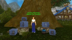 WoW Retail : Vous êtes sûrement passé à côté de cette mascotte sans le savoir, on vous explique comment la récupérer