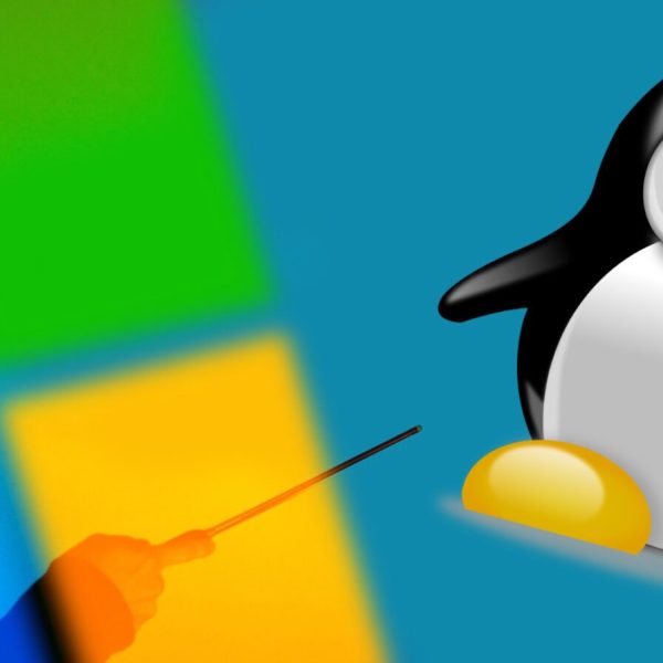 Fin du support de Windows 10 : quelle distribution Linux choisir pour votre PC ?