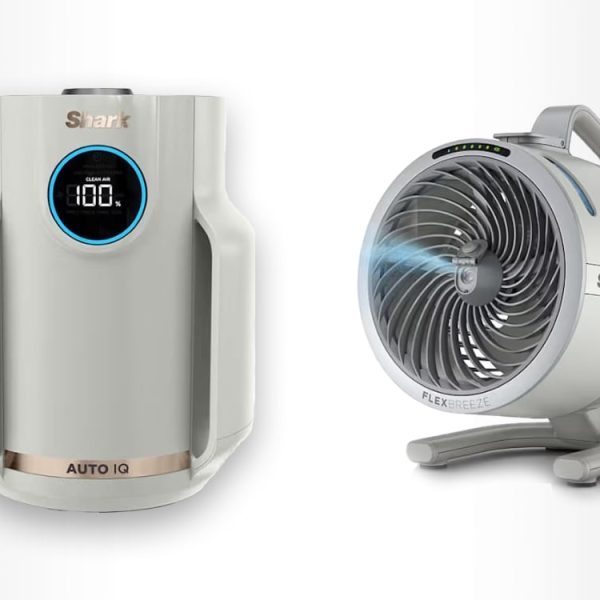 Vite, le pack ventilateur brumisateur et purificateur d’air Shark est 100 € moins cher, c’est une affaire !