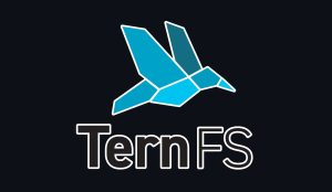 TernFS – Un système de fichiers distribué capable de gérer des exaoctets
