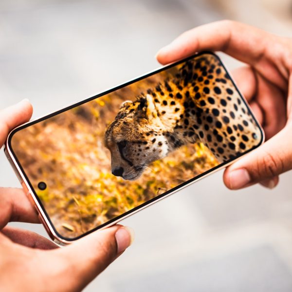 01lab : on a testé l’écran du Pixel 10 Pro XL et c’est une masterclass