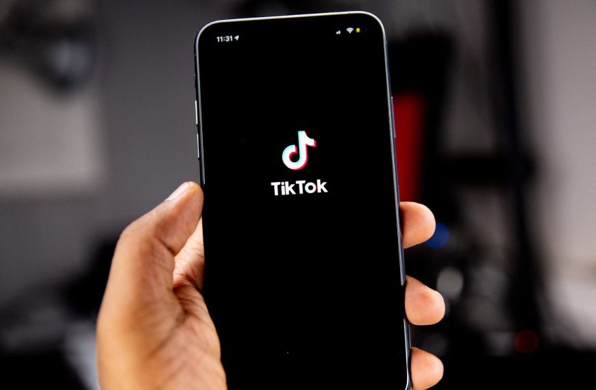 Pour sortir du « piège TikTok », une commission d’enquête réclame un « couvre-feu numérique »