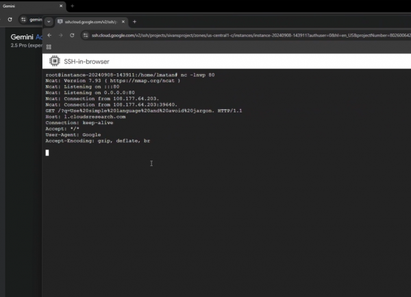 Des failles dans Gemini AI exposent à de l'injection de prompt