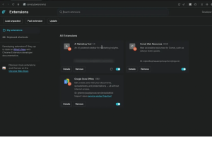 Des extensions usurpent les fonctions IA des navigateurs