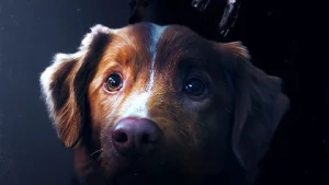 Ce chien va vous terrifier dans ce film d'horreur de 2025 qui sort au cinéma dans quelques jours, mais il y a un hic !