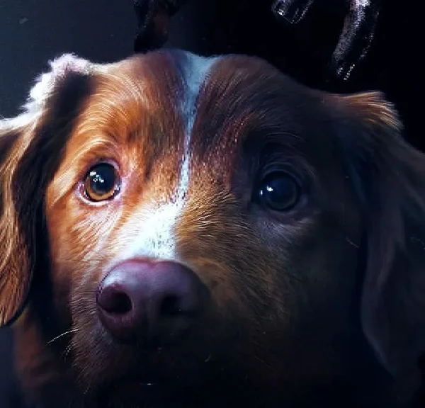 Ce chien va vous terrifier dans ce film d'horreur de 2025 qui sort au cinéma dans quelques jours, mais il y a un hic !