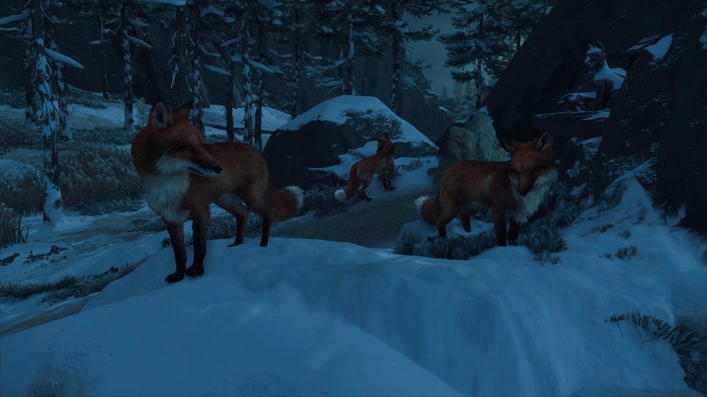Terriers de renards Ghost of Yotei : où tous les trouver ?