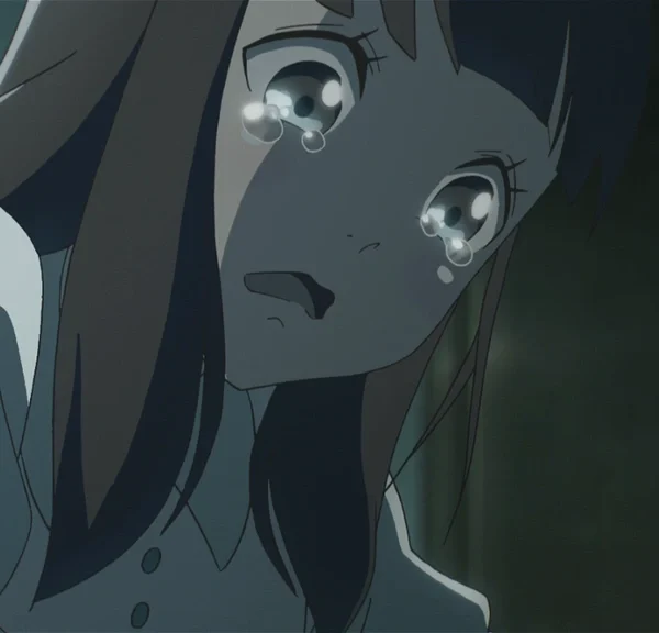 Cet anime m'a fait pleurer comme jamais… Il y a des sujets qui me mettent émotionnellement KO !