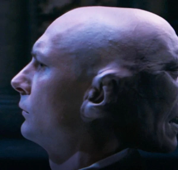 C'est la fusion entre Harry Potter et Les Chroniques de Narnia : Disney veut adapter cette saga fantastique au cinéma !