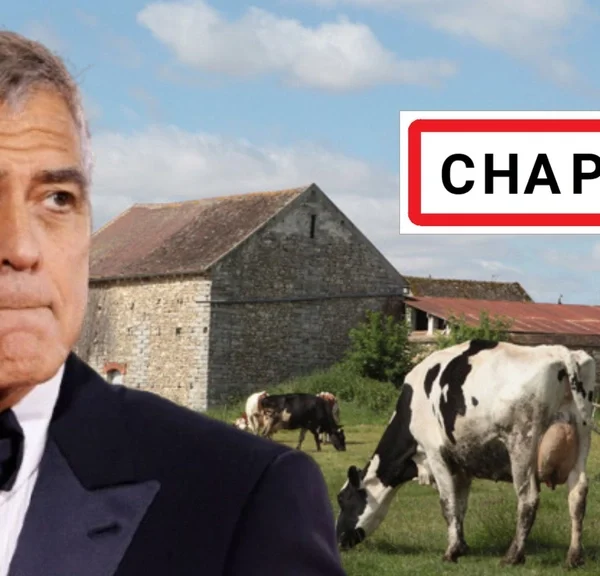 George Clooney a quitté Hollywood pour s'installer dans une ferme en France : il l'a fait pour la meilleure raison du monde