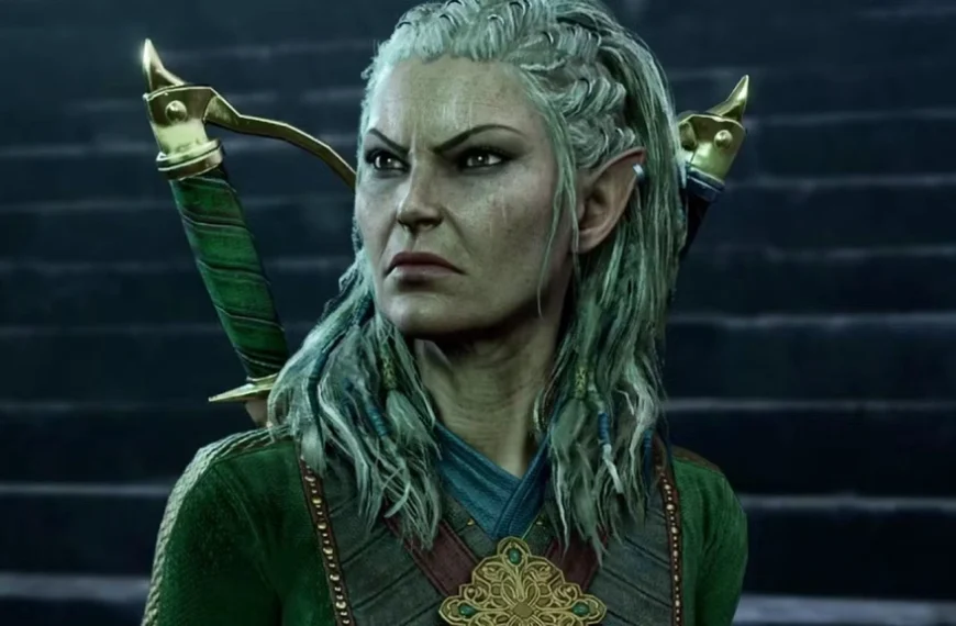 Elon Musk est sévèrement taclé par les papas de Baldur's Gate 3 : ce projet ne leur plaît pas du tout