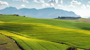 À seulement 4€, cet épisode de la série qui a inspiré Animal Crossing est à un prix imbattable sur Nintendo Switch