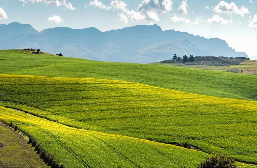 À seulement 4€, cet épisode de la série qui a inspiré Animal Crossing est à un prix imbattable sur Nintendo Switch