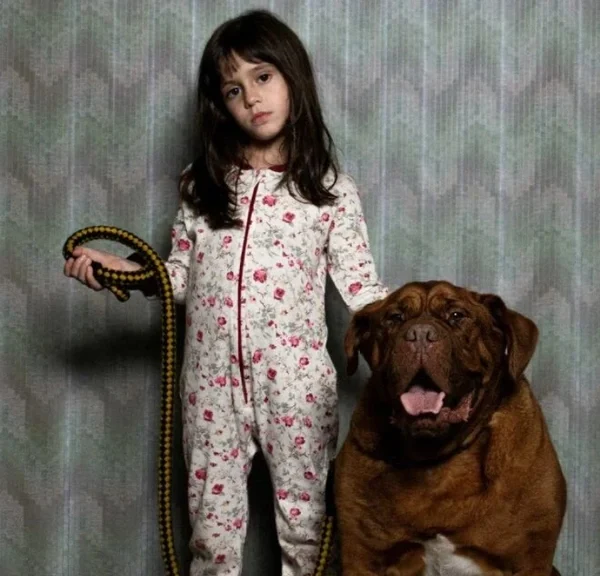 Je n'ai rien vu de plus terrifiant ces dernières années, vous pouvez voir ce film gratuitement !