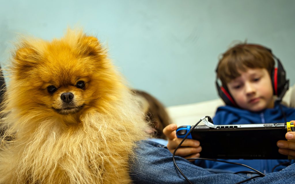 Gemini pour Google Home débarque chez les premiers utilisateurs, leur chien n’a plus de secrets !