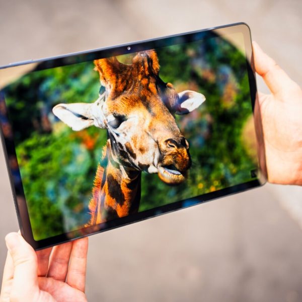 La Redmi Pad 2 passe à moins de 150 € : une tablette pas chère qui fait parfaitement le job