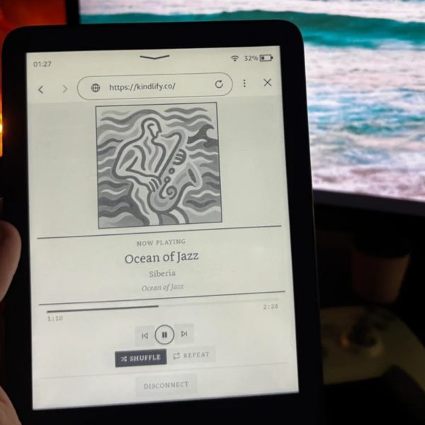 Personne n’y avait pensé : il transforme sa liseuse Kindle en lecteur Spotify