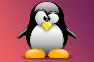 Fin de Windows 10 : les naufragés de Windows 11 migrent vers Linux
