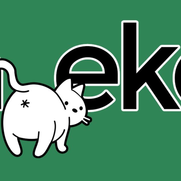 Neko – Le navigateur virtuel partagé qui tourne dans Docker