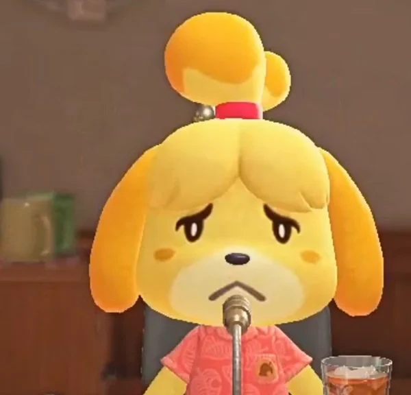 Animal Crossing Nintendo Switch : il obtient la pire récompense possible… Deux ans de travail pour rien !