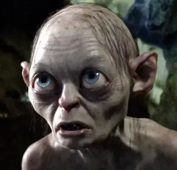 Catastropphe pour les joueurs qui veulent un MMORPG Le Seigneur des Anneaux, leur précieux s'en est allé…