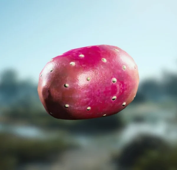 Figue de barbarie ARC Raiders : où trouver cette ressource naturelle pour Coquillard, votre coq ?