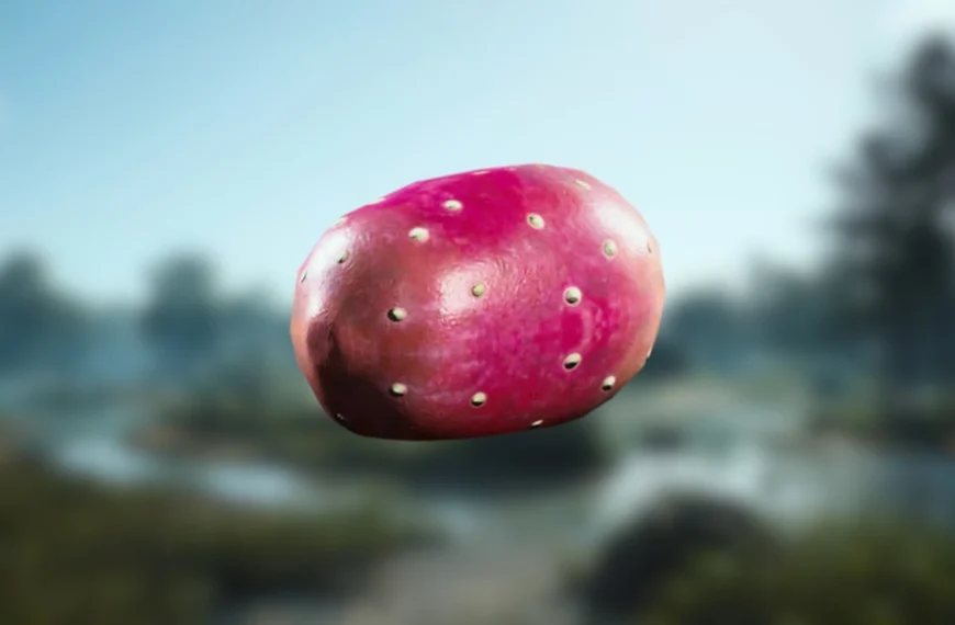 Figue de barbarie ARC Raiders : où trouver cette ressource naturelle pour Coquillard, votre coq ?