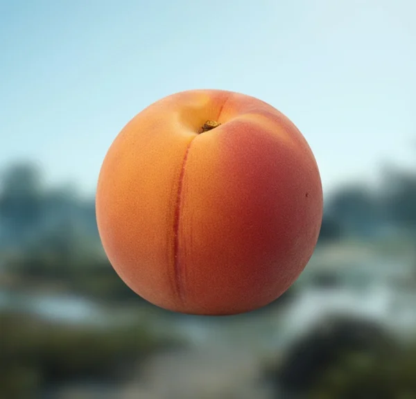 Abricot ARC Raiders : où trouver cette ressource naturelle pour Coquillard, votre coq ?