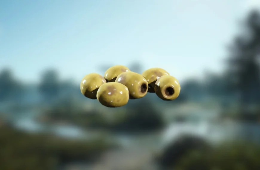 Olive ARC Raiders : où trouver cette ressource naturelle pour Coquillard, votre coq ?