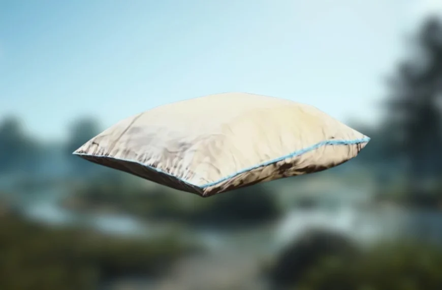 Oreillers très confortables ARC Raiders : où trouver cette ressource pour Coquillard, votre coq ?