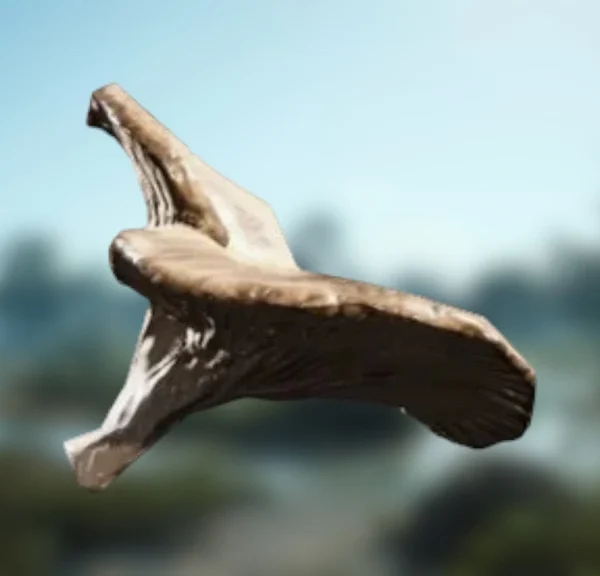 Champignons ARC Raiders : où trouver cette ressource naturelle pour Coquillard, votre coq ?